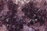Dark Purple Amethyst Cluster - Alacam Mine, Turkey #347613-1